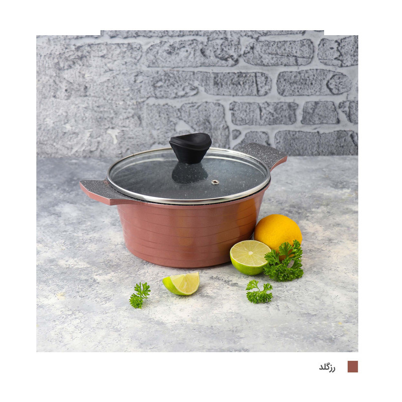 قابلمه دسینی مدل Rejina سایز 20