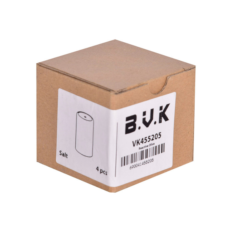 ست نمکپاش و فلفلپاش بی.وی.کی طرح OLIVE کد 455205 مجموعه 4 عددی ست نمکپاش و فلفلپاش بی.وی.کی طرح OLIVE کد 455205 مجموعه 4 عددی