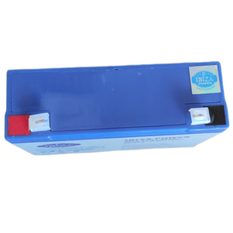 باتری یو پی اس 6 ولت 12 آمپر ساعت ابیزا مدل ibiz612