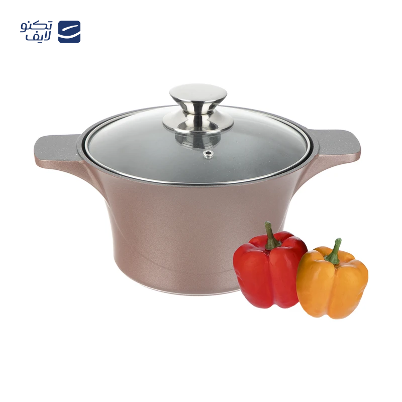 قابلمه تکنو مدل آناهیتا سایز 20 قابلمه تکنو مدل آناهیتا سایز 20