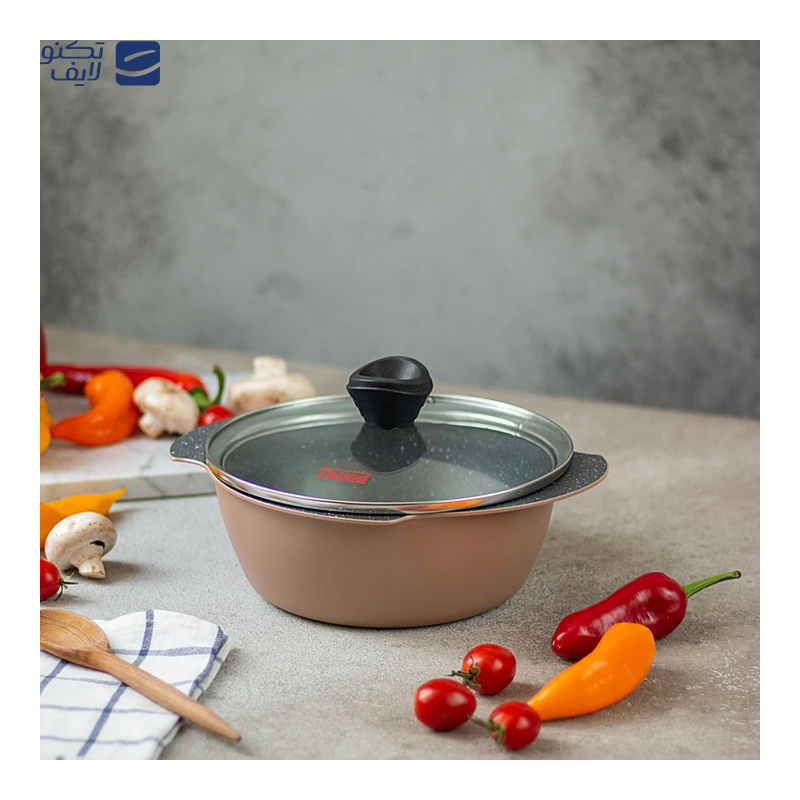 قابلمه تکنو مدل پروانه سایز 20 قابلمه تکنو مدل پروانه سایز 20