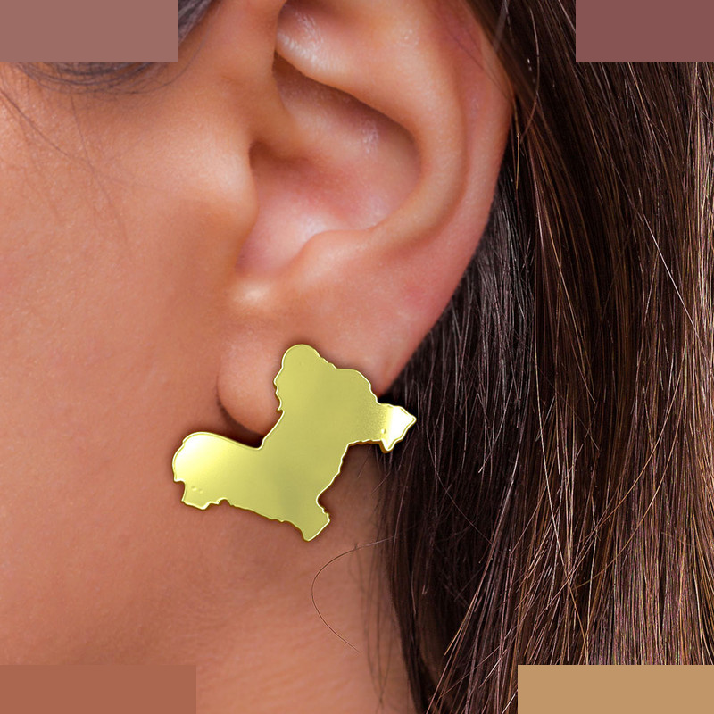 گوشواره طلا 18 عیار زنانه مدوپد مدل سگ کد GA1-16462 گوشواره طلا 18 عیار زنانه مدوپد مدل سگ کد GA1-16462