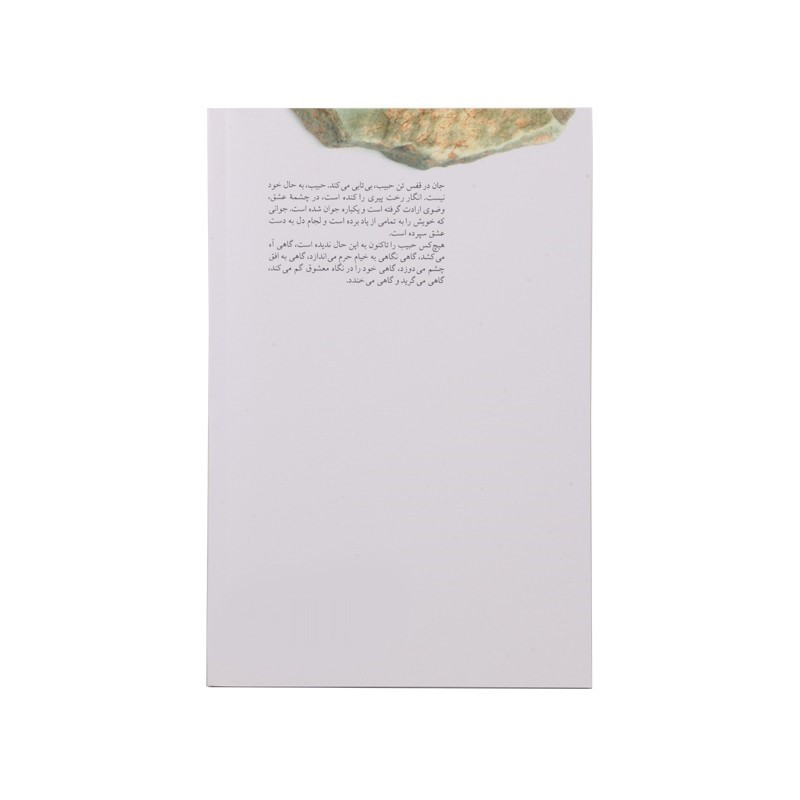 کتاب از دیار حبیب اثر سیدمهدی شجاعی نشر نیستان کتاب از دیار حبیب اثر سیدمهدی شجاعی نشر نیستان