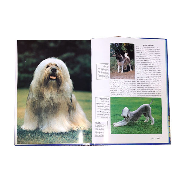 کتاب دنیای شگفت انگیز سگ ها اثر مارکوس اشنک و جیل کاروان انشارات جاجرمی