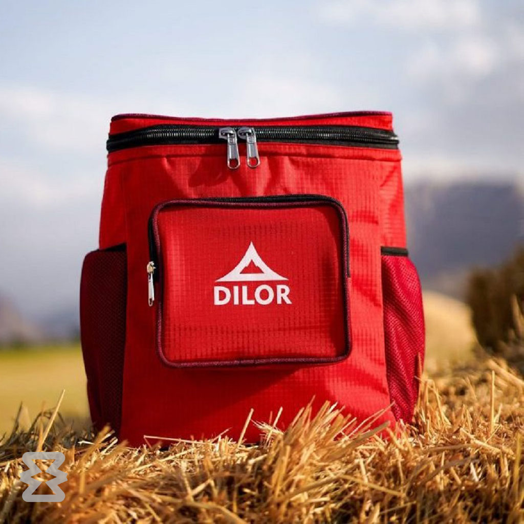 کول باکس دیلور مدل CHILL PACK