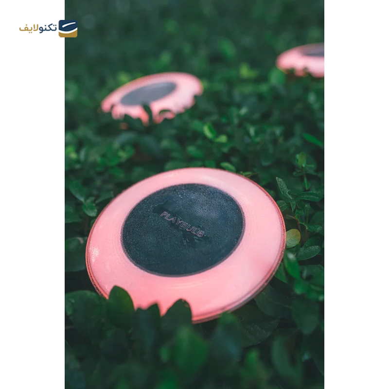 gallery-لامپ هوشمند مایپو مدل Candle S copy.png gallery-لامپ هوشمند مایپو مدل Candle S copy.png