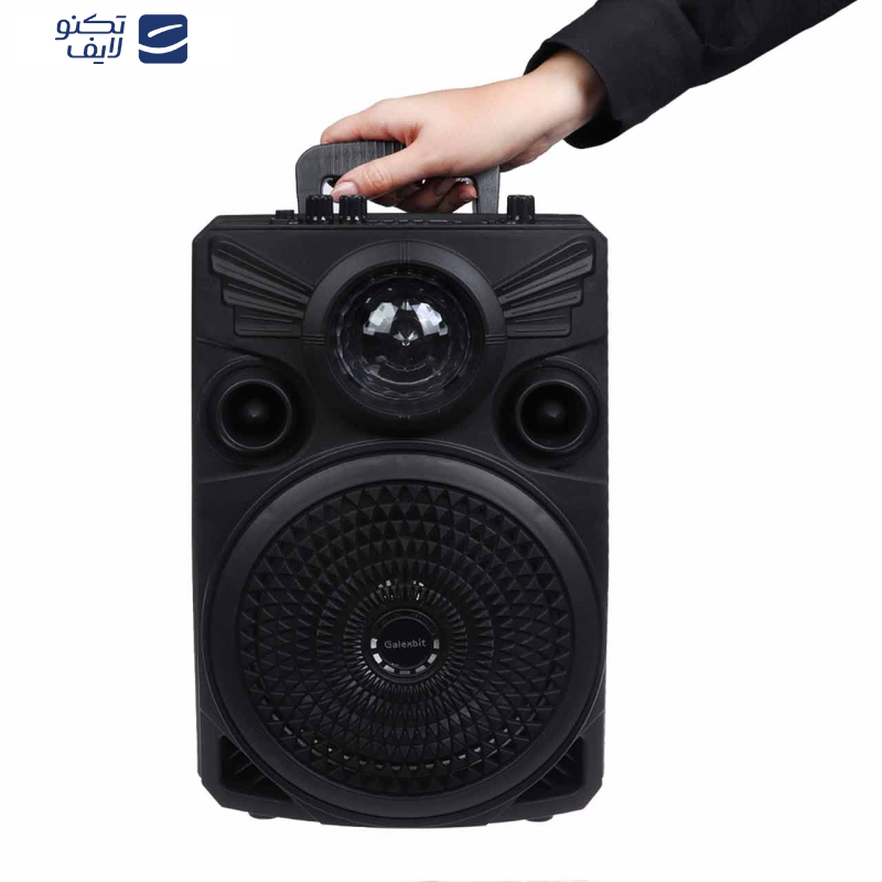 اسپیکر گلکسبیت مدل GS20 اسپیکر گلکسبیت مدل GS20