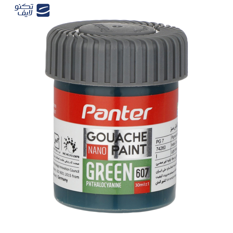 گواش 12 رنگ پنتر کد GP-711-12