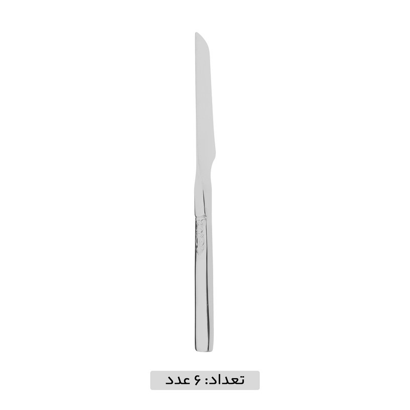 سرویس قاشق و چنگال 39 پارچه جی فی نی مدل NO 2