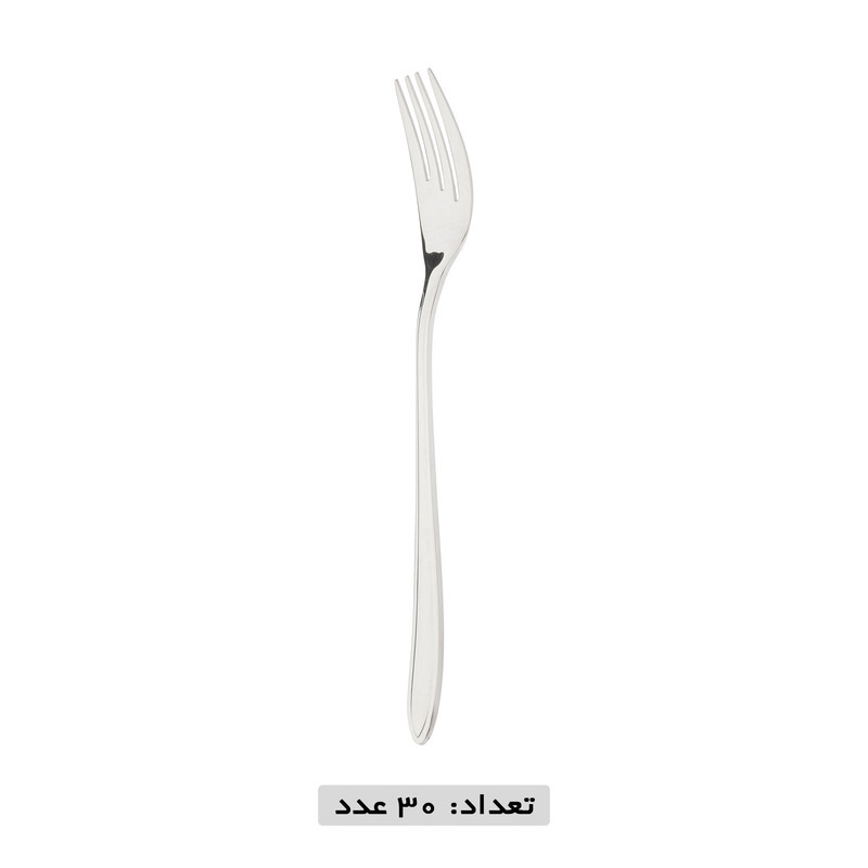 سرویس قاشق و چنگال 119 پارچه نایس بیوتی مدل 121M