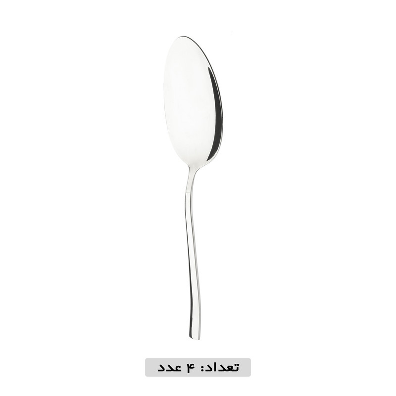 سرویس قاشق و چنگال 119 پارچه نایس بیوتی مدل فلورانس سرویس قاشق و چنگال 119 پارچه نایس بیوتی مدل فلورانس