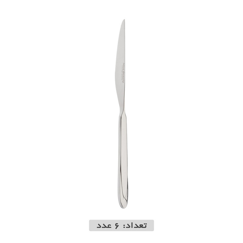 سرویس قاشق و چنگال 119 پارچه نایس بیوتی مدل 122M