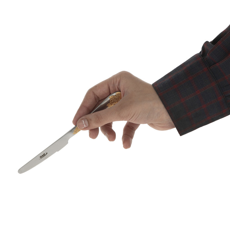 کارد میوه خوری ناب استیل مدل امپریال بسته 6 عددی