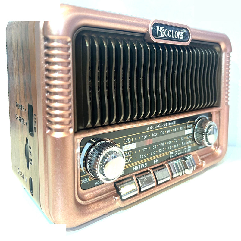 رادیو بلوتوثی گولون مدل RX-BT6060S