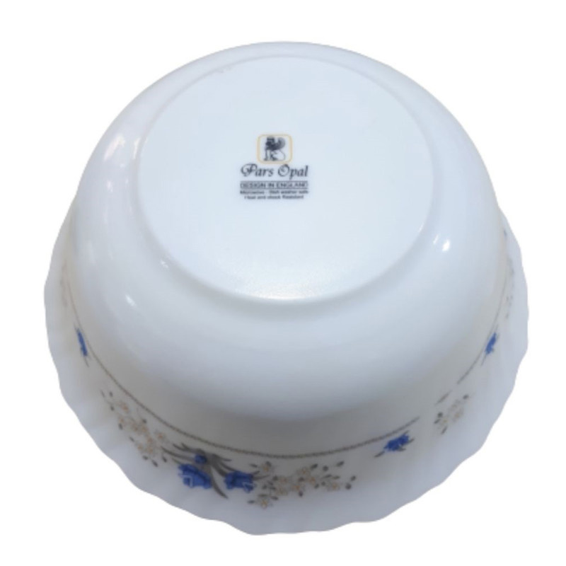 کاسه سالاد پارس اپال مدل 120 درجه یک بسته 2 عددی کاسه سالاد پارس اپال مدل 120 درجه یک بسته 2 عددی