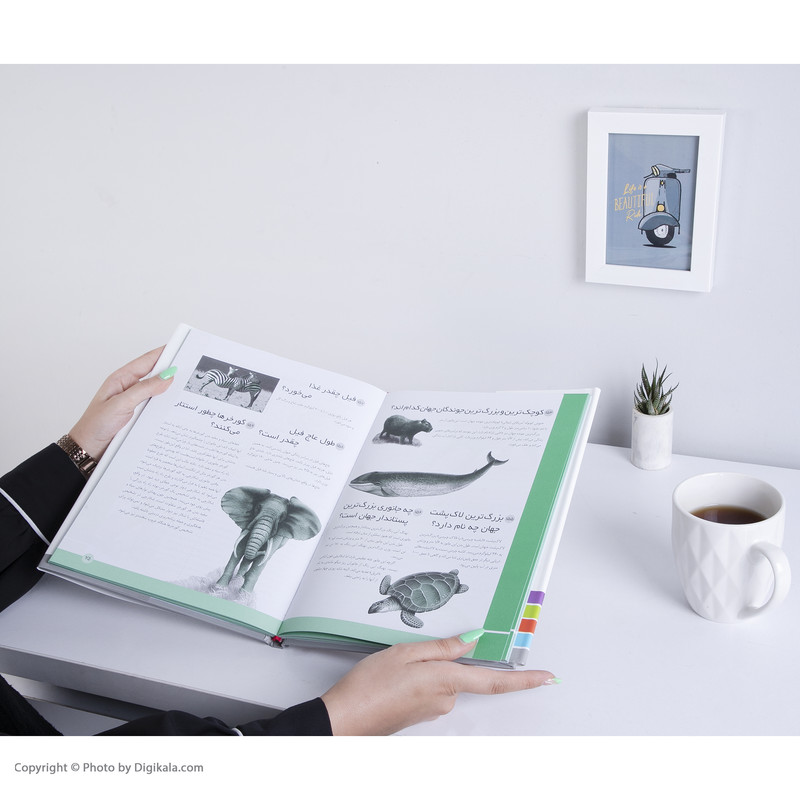 کتاب 365 پرسش و پاسخ علمی ترجمه فرزانه کریمی انتشارات قدیانی