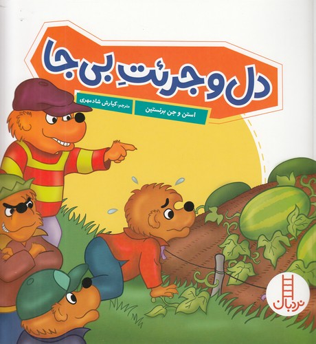 کتاب دل و جرئت بی جا نشر نردبان