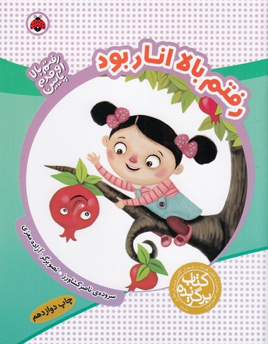 کتاب رفتم بالا اومدم پایین- رفتم بالا انار بود نشر شهر قلم