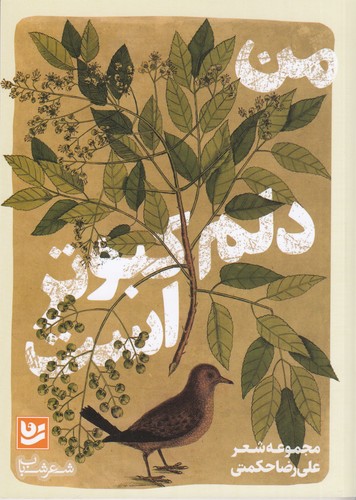 کتاب من دلم کبوتر است نشر گویا کتاب من دلم کبوتر است نشر گویا