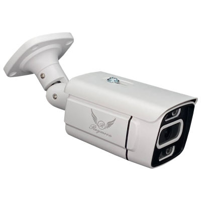 دوربین مداربسته تحت شبکه رایمون مدل بولت 8302  دوربین مداربسته تحت شبکه رایمون مدل بولت 8302