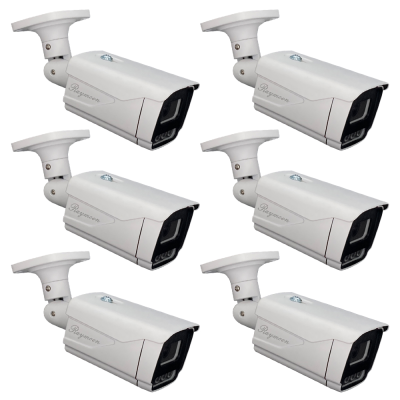 دوربین مداربسته تحت شبکه رایمون مدل 8312 بسته شش عددی