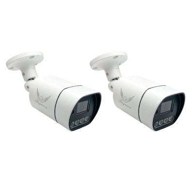 دوربین مداربسته تحت شبکه رایمون مدل 60Q بسته دو عددی