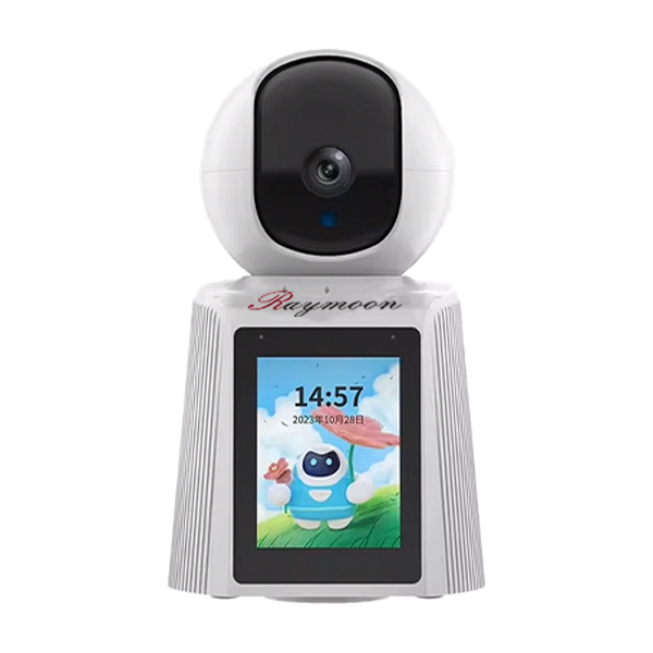 دوربین مداربسته تحت شبکه رایمون مدل RW-300