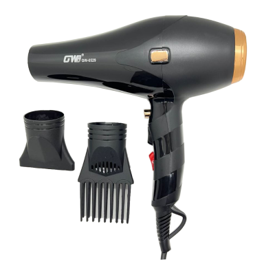 سشوار حرفه ای جی دبلیو مدل GW-6529