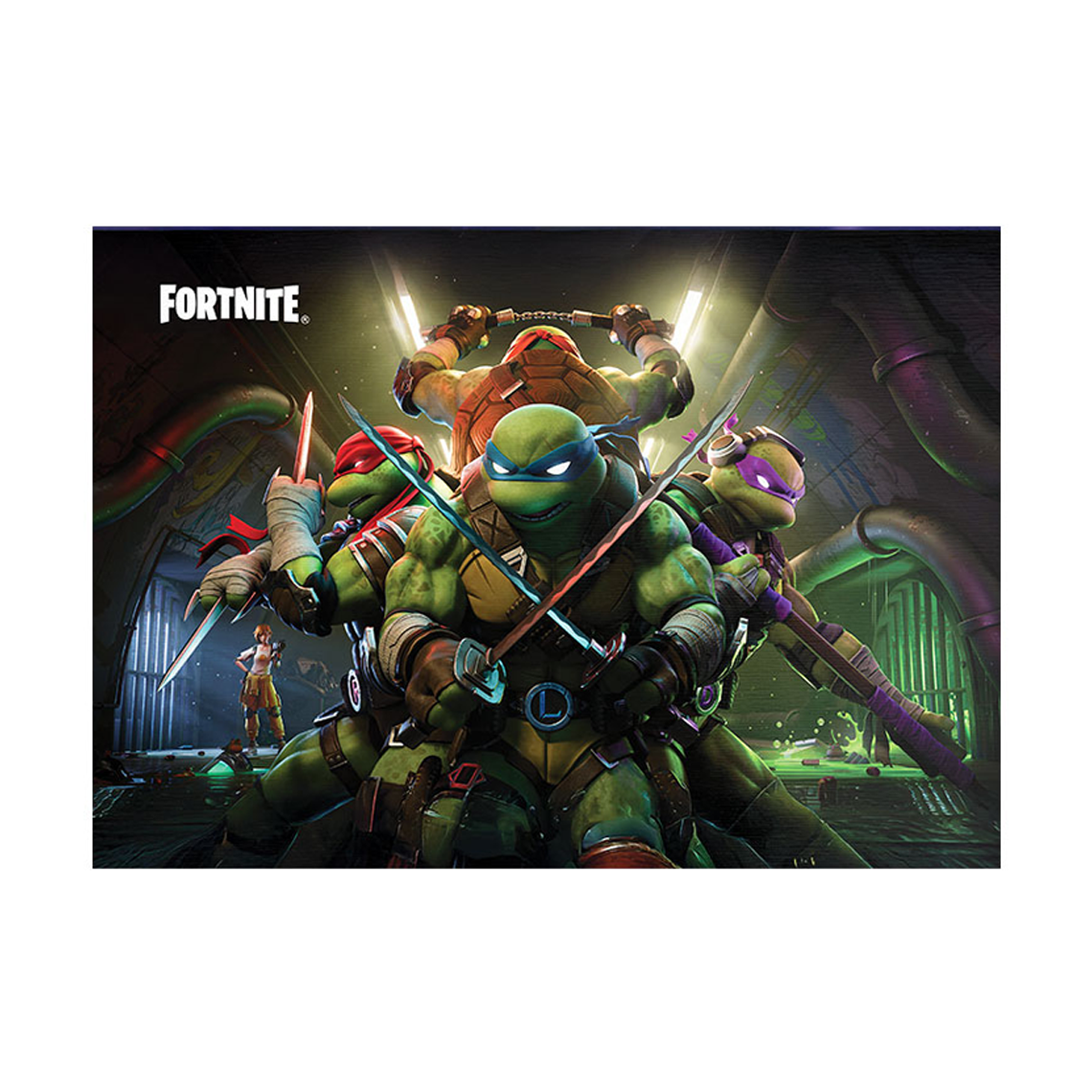 متال پوستر مستر پیکد طرح لاکپشت های نینجا کد PCD-MB1173