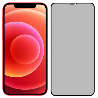 محافظ صفحه نمایش حریم شخصی گوشی اپل iPhone 12 Pro Max مدل PRV