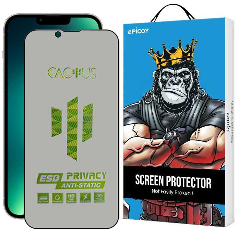 محافظ صفحه نمایش حریم شخصی گوشی اپل iPhone 13 اپیکوی مدل Cactus-ESD-Privacy