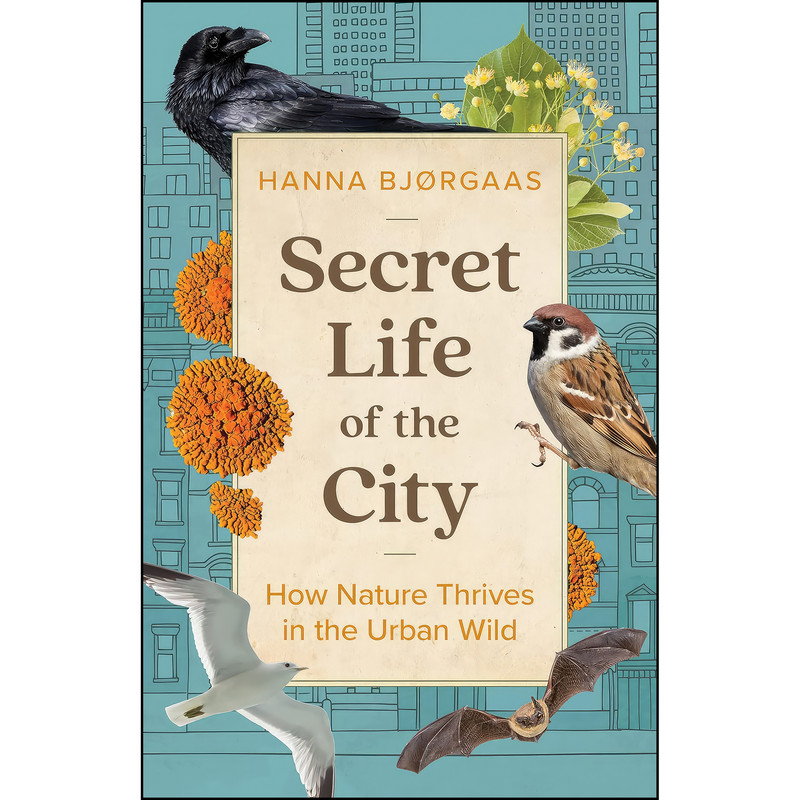 کتاب Secret Life of the City اثر جمعي از نويسندگان انتشارات Greystone Books