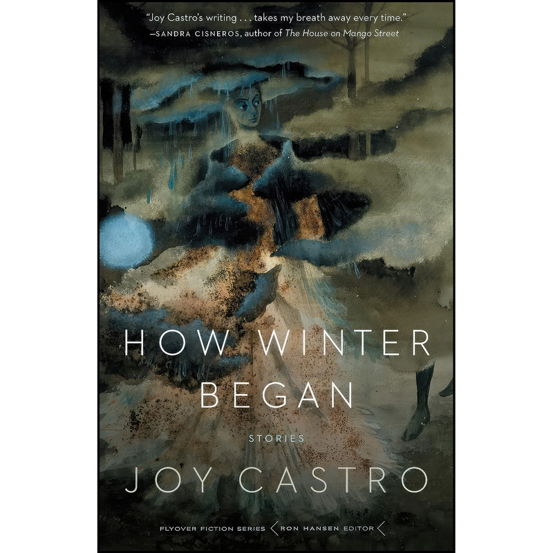 کتاب How Winter Began اثر Joy Castro انتشارات University of Nebraska Press