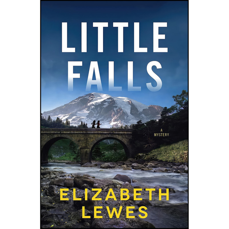 کتاب Little Falls اثر Elizabeth Lewes انتشارات Crooked Lane Books