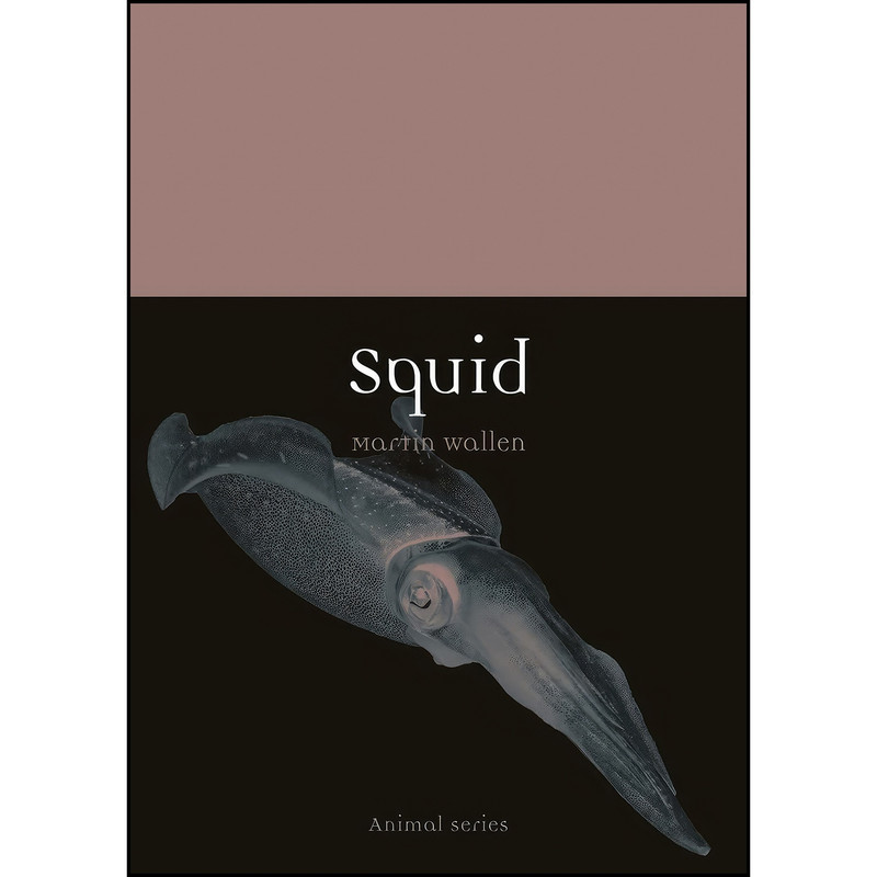 کتاب Squid اثر Martin Wallen انتشارات Reaktion Books