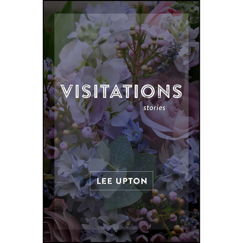 کتاب Visitations اثر Lee Upton انتشارات LSU Press