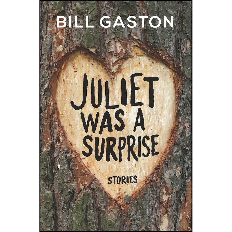 کتاب Juliet Was a Surprise اثر Bill Gaston انتشارات Hamish Hamilton