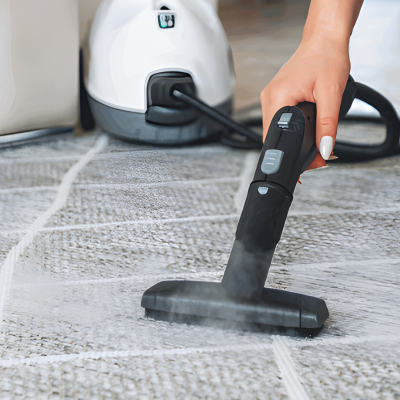 بخار شو نانیوا مدل NS-8550