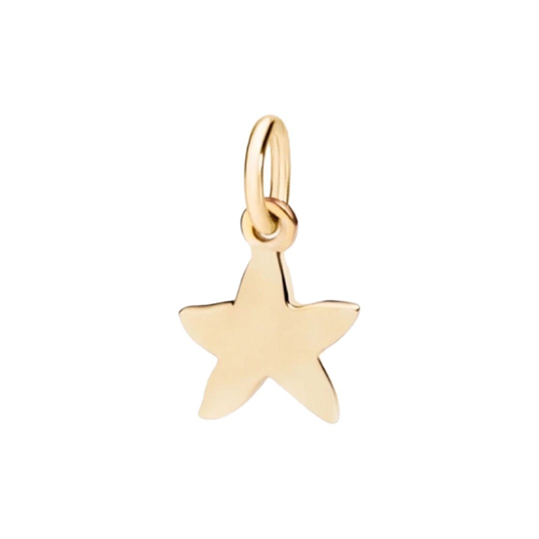 آویز گردنبند طلا ۷۵۰ عیار شمیم گلد گالری طرح ستاره دریایی کد S-102