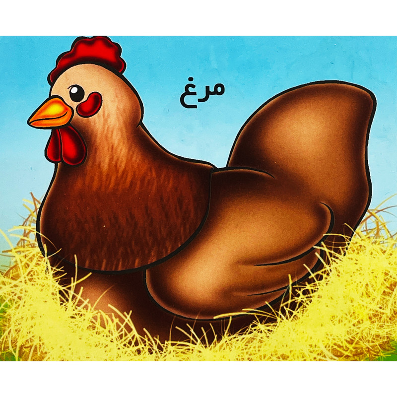 کتاب مرغ اثر شهره يوسفی نشر خانه ادبيات کتاب مرغ اثر شهره يوسفی نشر خانه ادبيات