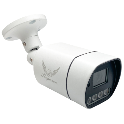 دوربین مداربسته رایمون مدل بولت 60Q دوربین مداربسته رایمون مدل بولت 60Q