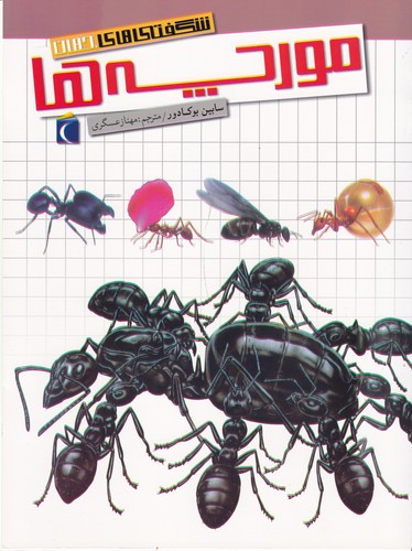 کتاب شگفتی های جهان- مورچه ها نشر محراب قلم