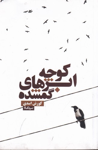 کتاب کوچه ی ابرهای گم شده نشر نیماژ کتاب کوچه ی ابرهای گم شده نشر نیماژ