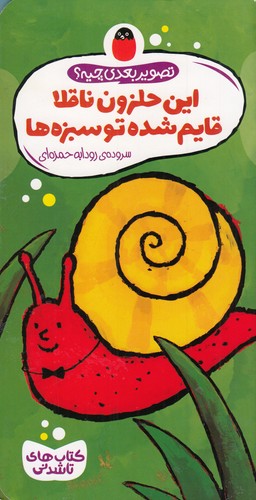 کتاب کتاب های تاشدنی- این حلزون ناقلا قایم شده تو سبزه ها نشر کتاب پرنده